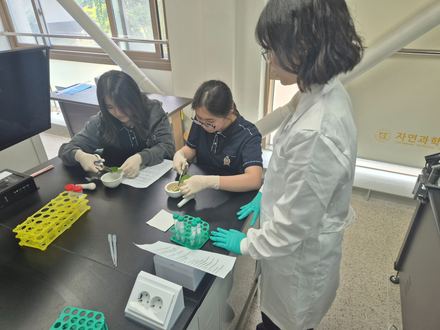 Major-experience day for high-school students from the Gwangju area.